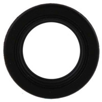 

Nikon DK17A, Anti Fog Eyepiece for D3, D2H, D2X, D2Xs & F-6 SLR Cameras