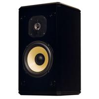 

Induction Dynamics S2 2-Way Single Loudspeaker, Black Gloss