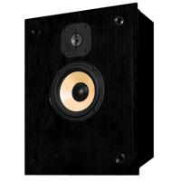 

Induction Dynamics S2.IW 2-Way In-Wall Loudspeaker, Black Gloss