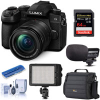 

Panasonic Lumix DC-G95 Mirrorless Camera with 12-60mm f/3.5-5.6 Lumix G Power OIS Lens, Black - Bundle With CLAR 204 Bi-Color LED Light, 64GB SDXC U3 Card, Marantz Microphone, LowePro Bag, Cleaning Kit