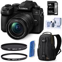 

Panasonic Lumix DC-G95 Mirrorless Camera with 12-60mm f/3.5-5.6 Lumix G OIS Lens Black - Bundle With Hoya 58mm Multi-Coated UV Filter + 58mm MC Circular Polarizer Filter, 64GB SD Card, LowePro Backpack