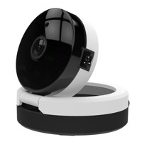 

IPM 1080p Full HD Foldable IP Camera with Wi-Fi, M12/2.1mm Lens, H.264, Black/White