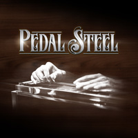 

Impact Soundworks Pedal Steel - Virtual Instrument, Download