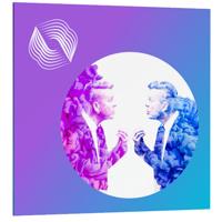

iZotope Izotope Dialogue Match
