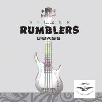 

Kala Aquila Silver Rumbler U-Bass 4-Strings Set