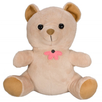 

KJB Security Products Xtreme Life SC7002WF Wi-Fi HD Teddy Bear Camera with Built-in DVR, 1280x720