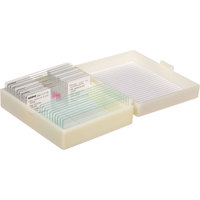 

Konus Biology 2 Prepared Slide Set: Second Series Human Tissues, 10 Slides