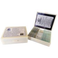 

Konus Biology 2 Prepared Slide Set: Human Organ Structures, 25 Slides