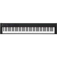 

Korg D1 Slimline 88-Key Digital Piano with Damper Pedal, 30 Sounds, Black