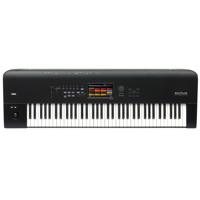 

Korg Nautilus 73-Key Performance Synth/Workstation Keyboard