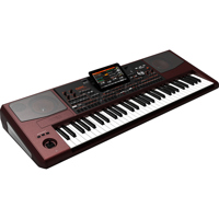 

Korg Pa1000 Professional Arranger Keyboard, 61 Semi-weighted Keys (C2-C7) with Velocity and Aftertouch