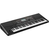 

Korg PA300 61 Keys Professional Arranger, 950+ Sounds, USB-MIDI Interface, Color TouchView 5" (480x272 dots) TFT Display