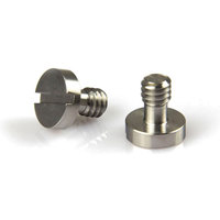 

Lanparte 1/4"-20 Bridgeplate Screw