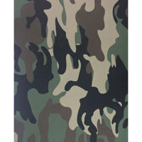 

LensCoat Lens Cover for the Minolta AF 600mm f/4.0 HS APO Lens - Forest Green Woodland Camo (fg)