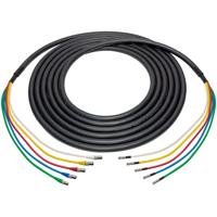 

Laird 3' 5-Channel 12G-SDI/4K UHD BNC Female to HDBNC Male Snake Cable