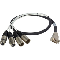 

Laird 3' Premium HD15 to XLR Male & Female Analog Audio I/O Breakout Cable for Ensemble Designs BrightEye 30/30D Converter