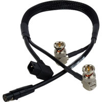 

Laird 18" Power & Video Siamese Viewfinder Cable with Right Angle D-Tap for AJA CION Camera and Cineroid EVF4RVW