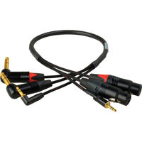 

Laird 3-Channel Dual Right Angle 1/4" TRS to Female XLR with 3.5mm Mini to 1/4 Snake Audio Breakout Cable for Blackmagic 2.5K Cinema Camera