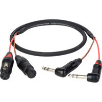 

Laird 2' 2-Channel 1/4" TRS Right-Angle Plug to 3-Pin XLR Female Audio Adapter Cable for Blackmagic 2.5K Cinema Camera