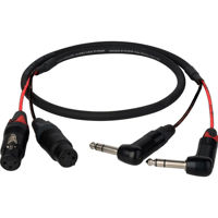 

Laird 3' 2-Channel 1/4" TRS Right-Angle Plug to 3-Pin XLR Female Audio Adapter Cable for Blackmagic 2.5K Cinema Camera