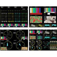 

Leader Audio Lissajous Option for LV 5381 Multi SDI Monitor
