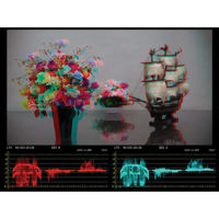 

Leader 3D Assist Option for LV 5381 Multi SDI Monitor