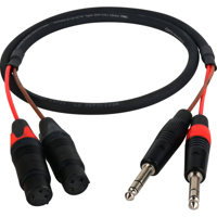 

Laird 3' 2-Channel 1/4" Standard TRS Plug to 3-Pin XLR Female Audio Adapter Cable for Blackmagic 2.5K Cinema Camera