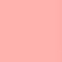 

Lee Filters Light Salmon 48"x25' Roll Gel Filter