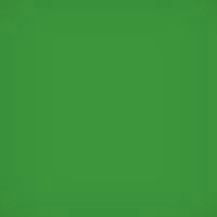 

Lee Filters 4x4" Yellow Green #11 Polyester Filter for Black & White Film