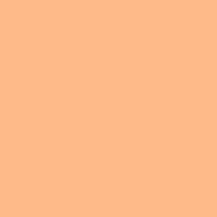 

Lee Filters Apricot 48"x25' Roll Gel Filter