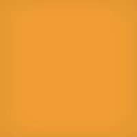 

Lee Filters 3x3" Deep Yellow #15 Polyester Filter for Black & White Film
