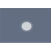 

Lee Filters 1/4 Tough Spun 48"x25' Roll Diffusion Filter