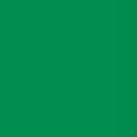 

Lee Filters Forest Green 24x21" Gel Filter Sheet