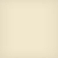 

Lee Filters 3x3" 81B Color Conversion Polyester Filter