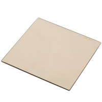 

Lee Filters 81C Pale Amber Warming/Color Temperature Conversion Filter 4x4" Resin.