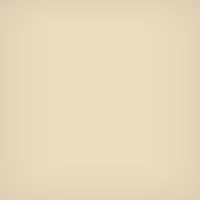 

Lee Filters 75x75mm 81C Color Conversion Polyester Filter