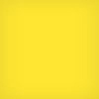 

Lee Filters 4x4" #8 Polyester Filter for Black & White Film, Yellow