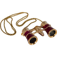 

Levenhuk 3x25 Broadway 325F Opera Glasses with LED Light and 6 Degree Angle of View, Red