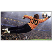

LG VL5G-A 49" Full HD 2.25mm Bezel IPS Video Wall Display