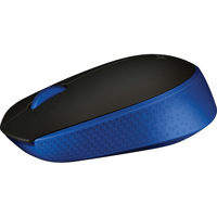 

Logitech M170 Wireless Mouse, Blue