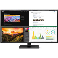 

LG 43BN70U-B 43" 4K Ultra HD 16:9 IPS Monitor with Built-In Speakers