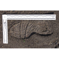 

Lynn Peavey 300x150mm Reversible Scale Ruler for Tire Track and Footwear Impressions