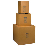 

Lynn Peavey 18x18x18" Evidence Box, 15 Pack