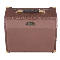 

Luna 25W Ambiance Amplifier for Acoustic Electric Guitar