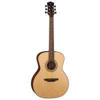 

Luna Art Recorder All Solid Wood Acoustic Guitar, 21 Frets, C Neck, Rosewood Fretboard, Satin Natural