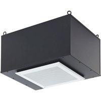 

Lowell Manufacturing IM12P-TS100-3SW Speaker System, Includes 12P150 12" 150W Driver, TLS-10070 70V Transformer, 3 Cubic Foot Square Enclosure