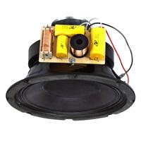 

Lowell Manufacturing 8P100 8" 100W Coaxial Compression Driver