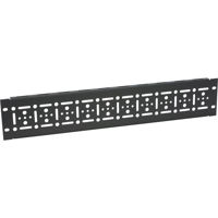 

Lowell Manufacturing CMPS-2 2U Rackmount Cable Management Panel with Slots, 10 Pack, Smooth Black
