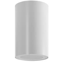 

Lowell Manufacturing IMC8A-1W Speaker System, Includes 8A50 8" 50W Driver, 1.25 Cubic Foot Cylindrical Enclosure