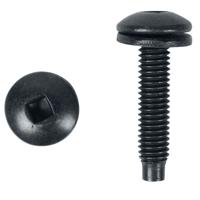 

Lowell Manufacturing RSR-50 Robertson Square Head Screws with Pilot Point Tip for 10-32 Threaded Rails, 50 Pieces in Bag, Black